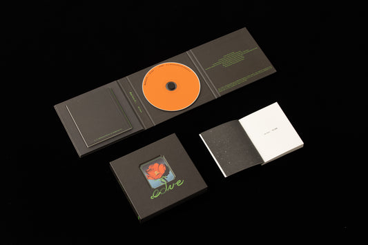 椅子樂團〈Real Love Is...〉專輯