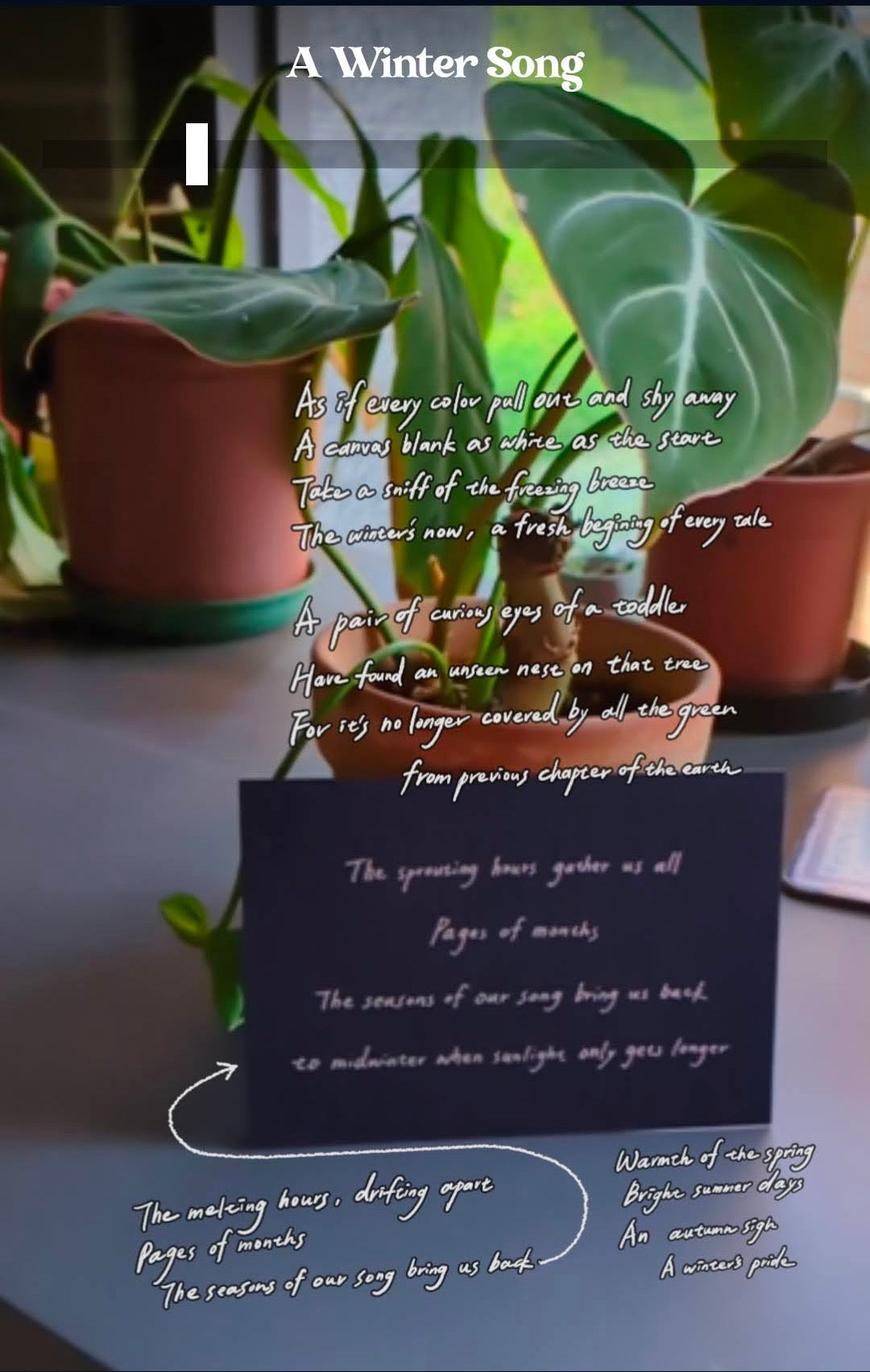 《Pages of Months》AR 明信片專輯